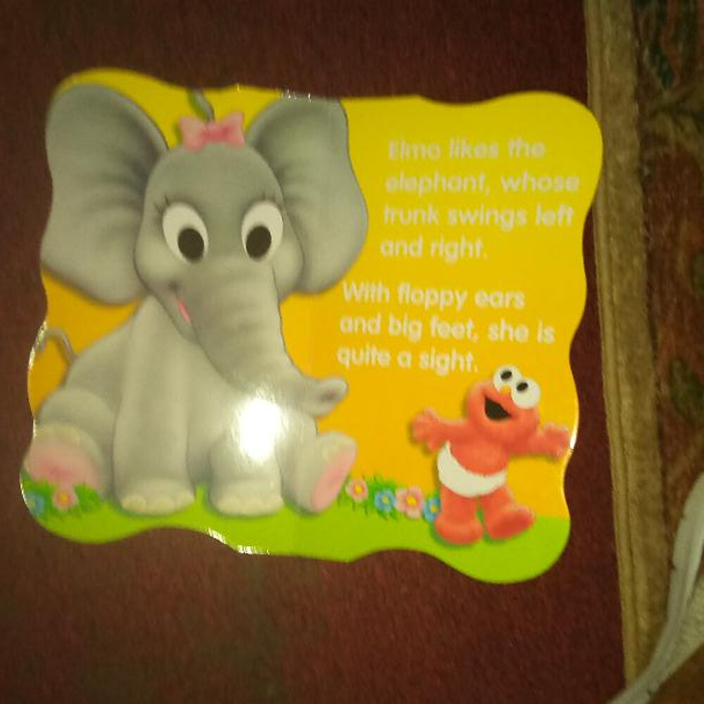 Sesame Street Board Book Set The Zoo The Frog First Child....book 2
